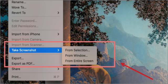 choose-sceenshot-mode-in-preview